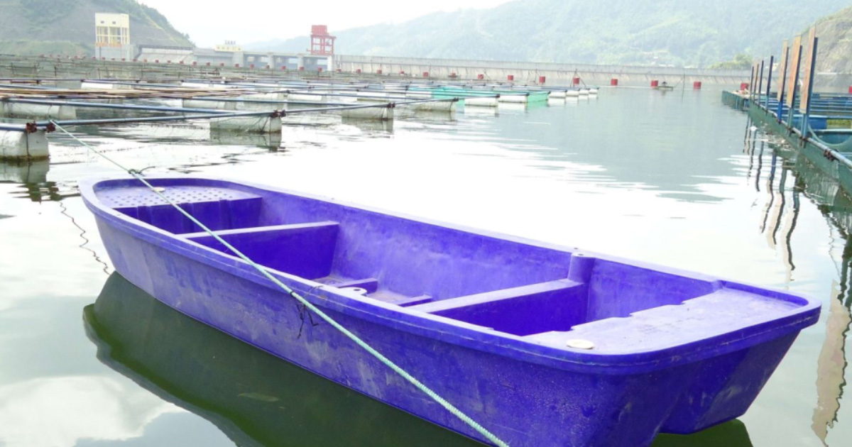 景區(qū)漁船應用案例