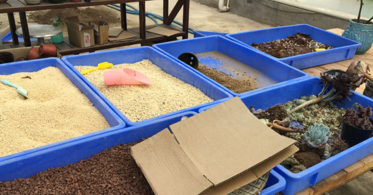 周轉(zhuǎn)箱種植應(yīng)用